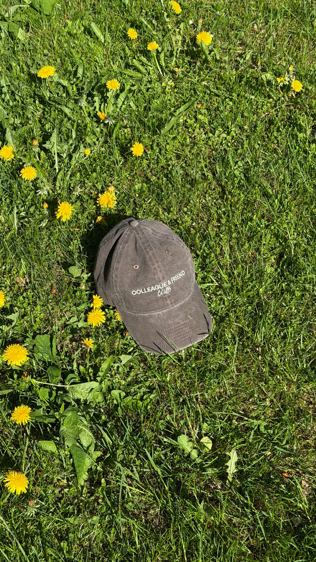 Colleague & Friend Club Caps Brown